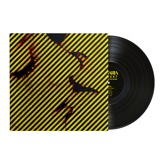 Vinyl - Tonight Will Only Make Me Love You More